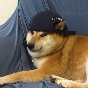 Meet your Posher, Joel